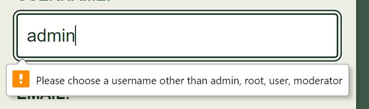 Screenshot of a custom error message for the username field