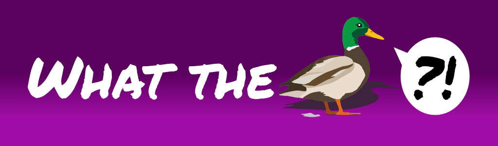 category banner